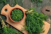 درمان طبیعی نفخ، بی‌خوابی و کلسترول