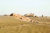 دشت سجزی نیازمند دستی نوازشگر