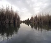 مدیریت زیست محیطی تالاب زریبار باید عملی گردد