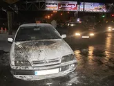 زانتیای سفید در آتش سوخت