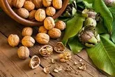 کاهش 1000تنی دسترنج باغداران گردوی استان سمنان به‌دلیل سرمازدگی