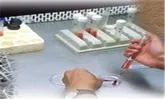 نمونه‌گیری از 2600 نفر در طرح جامع هپاتیت خراسان‌جنوبی