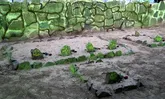 قشم میزبان جشنواره ملی حفظ ۴۰ حدیث رضوی در سال آینده