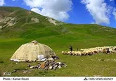 عشایر آذربایجان‌ غربی 42 درصد از تولیدات کل عشایر کشور را به خود اختصاص داده اند