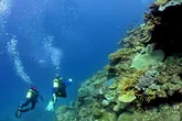 دوره‌های نجات غریق و غواصی بانوان در اردبیل برگزار می‌شود