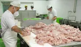 ذخیره سازی ۴۰۰تن گوشت مرغ برای ایام محرم در هرمزگان