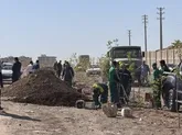 کاشته بیش از ۸۵۰ اصله درخت در مسیر حلقه دره کرج