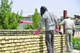 20 کارگاه ساختمانی ناامن در اهواز تعطیل شد