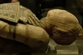 کشف استثنائی در شکم یک مومیایی