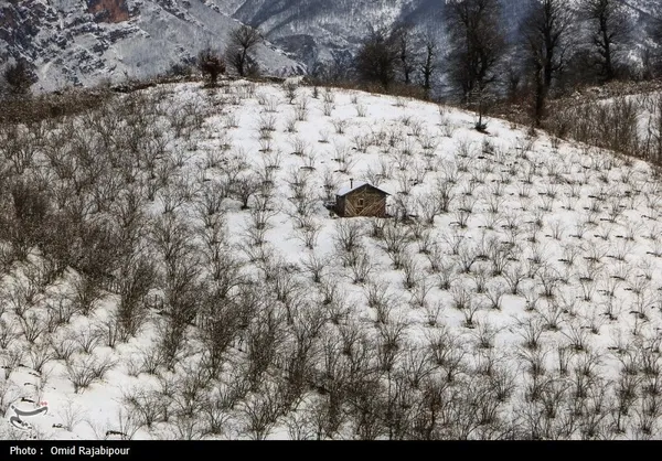 طبیعت زمستانی اشکورات گیلان