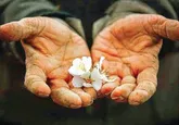 پدر یعنی حضوری عمیق، اما بی‌صدا