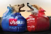 اره سراغ بی‌بی رفت!