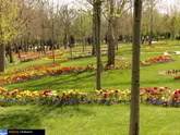 ساماندهی پارک‌ها و فضای سبز یزد