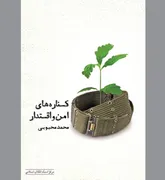 شرحی و در آمدی بر «کناره‌های امن و اقتدار»