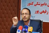 طرح ارتقای کیفیت مرغ در ۱۴ استان اجرا می‌شود