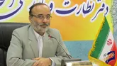 34پرونده تخلف انتخاباتی مدیران استان مرکزی به دادسرا ارجاع شد