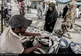 هرمزگان نیازمند یک بازار ماهی پیشرفته