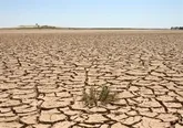 40میلیارد ریال برای بیابان زدایی در هرمزگان هزینه می شود