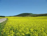 اجرای طرح همگام با کشاورز در روستاها