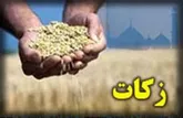 اجرای پروژه‌های عام‌المنفعه درمیبد از محل زکات
