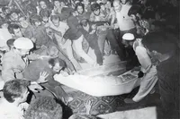 رحلت طالقانی در دستنوشته فرزندان