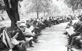 چه مشکلی دارد که همه درباره همه‌چیز نظر بدهند؟