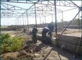 شمارش معکوس برای راه‌اندازی گلخانه‌ بزرگ سمنان