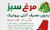 آغاز پرورش مرغ بدون آنتی‌بیوتیک در رودسر