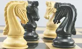 دام اینشتلونگ در تصمیم‌گیری