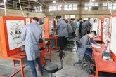 اجرای طرح «نخلستان» برای فارغ‌التحصیلان دانشگاهی آغاز شد