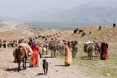 12هزار خانوار عشایری تاکنون وارد خوزستان شده اند