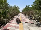 احداث بوستان و سالن ورزشی بانوان در گلستان