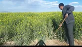 ایجاد ۱۶۵ کسب و کار در خراسان‌رضوی از سوی معین‌های اقتصادی