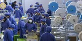 جایگاه ویژه ایران در صنایع غذایی، نانو و بیوتکنولوژی‌‌ دنیا/ ‌در دوران پهلوی فقط واردکننده‌ بودیم