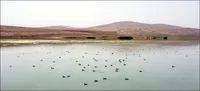 «حفظ محدوده» اولین گام برای حفاظت از تالاب ارژن فارس 