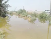 طغیان زهاب به زمین های کشاورزی خوزستان خسارت زد