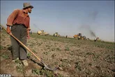 سلامت محصولات كشاورزي در هاله اي از ابهام