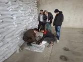 نمونه برداری بیش از ۳ هزار تن انواع  کود کشاورزی یارانه ای درگلستان