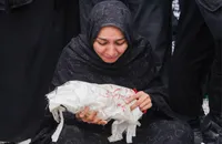 پایان ندارد این داغ‌