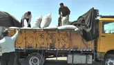 محموله گردو قاچاق در دشتی کشف شد