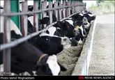 مشکلات ینگه‌قلعه بجنورد رفع می‌شود