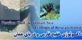 آغاز گشت های نمونه برداری پایش ذخایر کف زیان تجاری هرمزگان