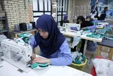 کمیته امداد برای ۴۵۰۰ مددجوی زنجانی شغل ایجاد می‌کند