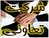 فعالیت 200 هزار کردستانی در قالب 19 تعاونی مرزنشین