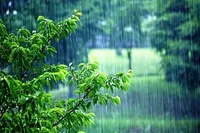 رگبار باران در ۱۰ استان
