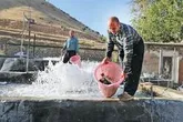 ۷ هزار طرح اشتغالزایی جایگزین کولبری در ۳ استان کشور