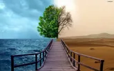محیط‌ زیست، بازیچه سیاست شده است