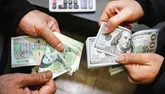 افزایش ۲۰درصدی حقوق سال آینده همین حالا رفت