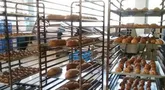 مشکل کیفیت تولیدات کارخانه نان صنعتی مریوان مرتفع شود