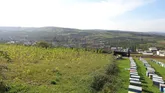 مشكلاتي كه كام زنبورداران را تلخ مي كند